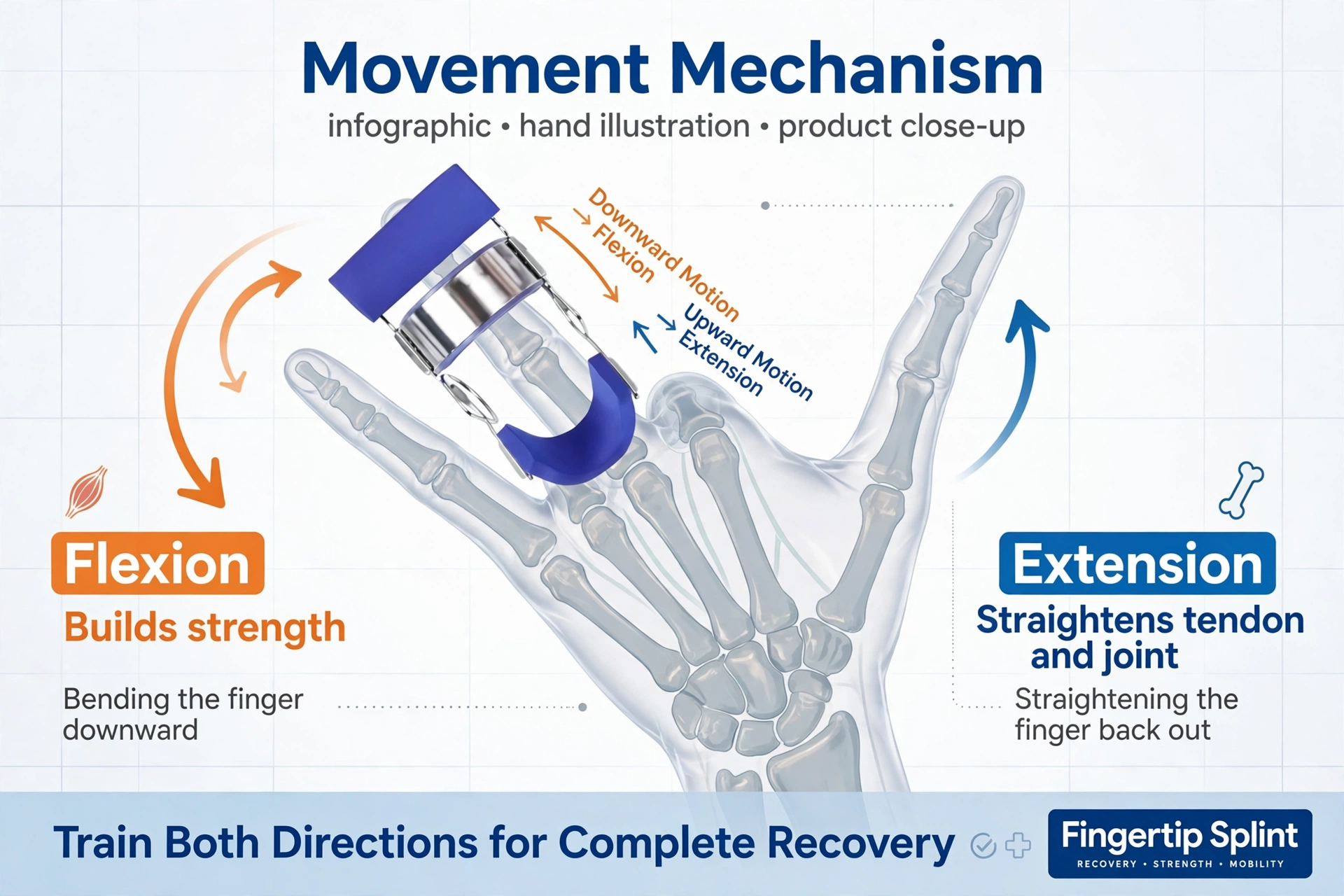 Finger straightener orthosis for positioning and support