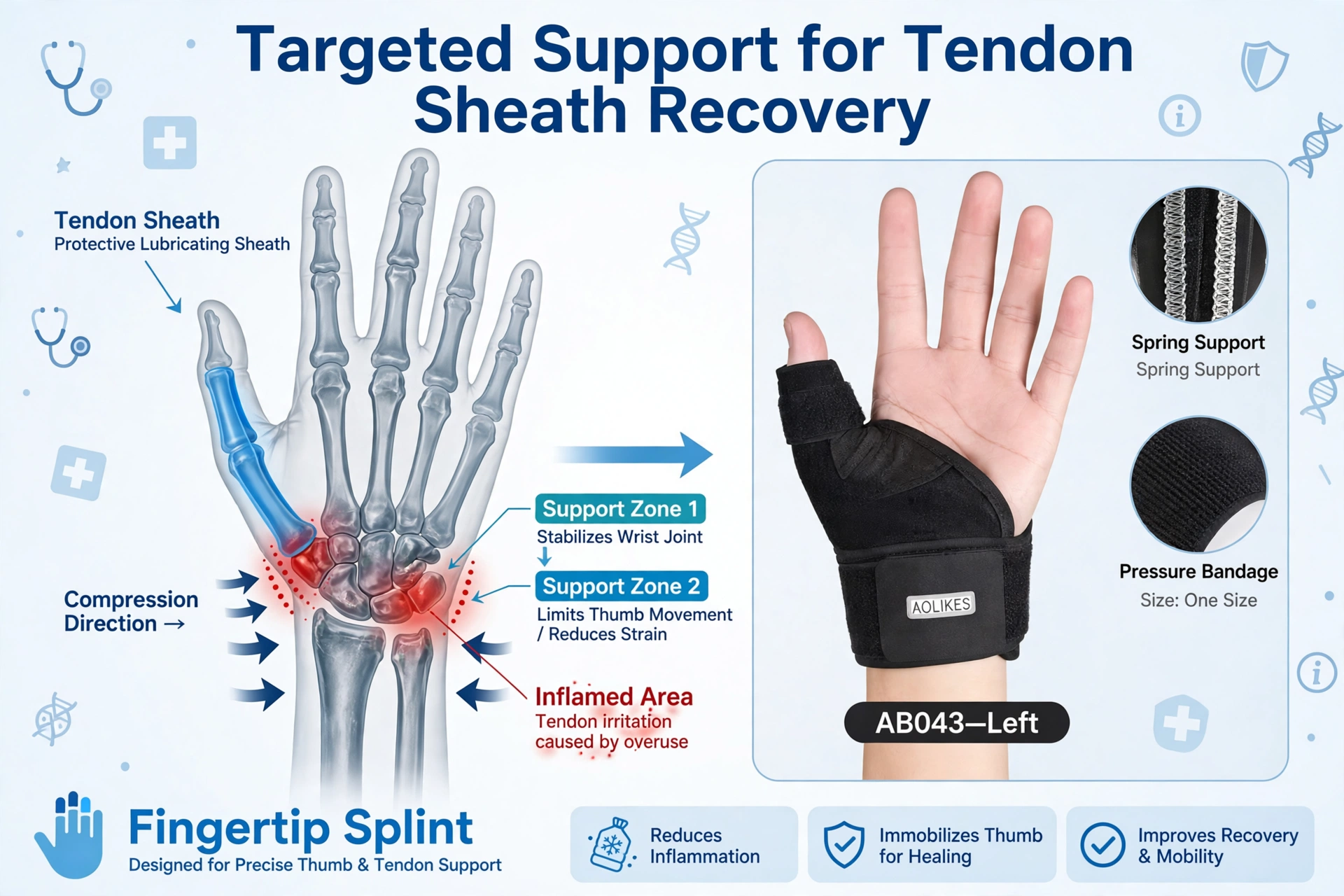 Tendons anatomy showing tendon pathways in the wrist and hand for tendon support brace selection